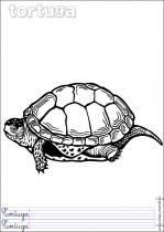 coloriage-tortue-3